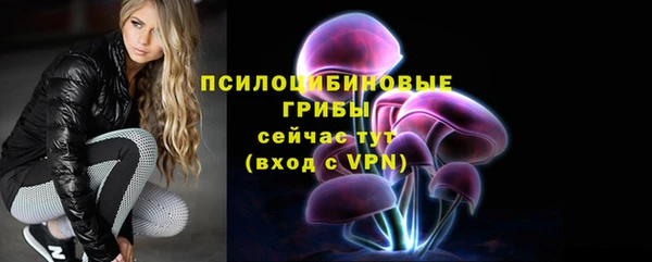 PSILOCYBIN Богородицк