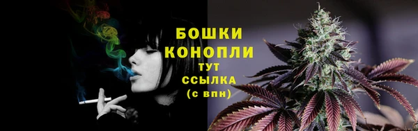 PSILOCYBIN Богородицк